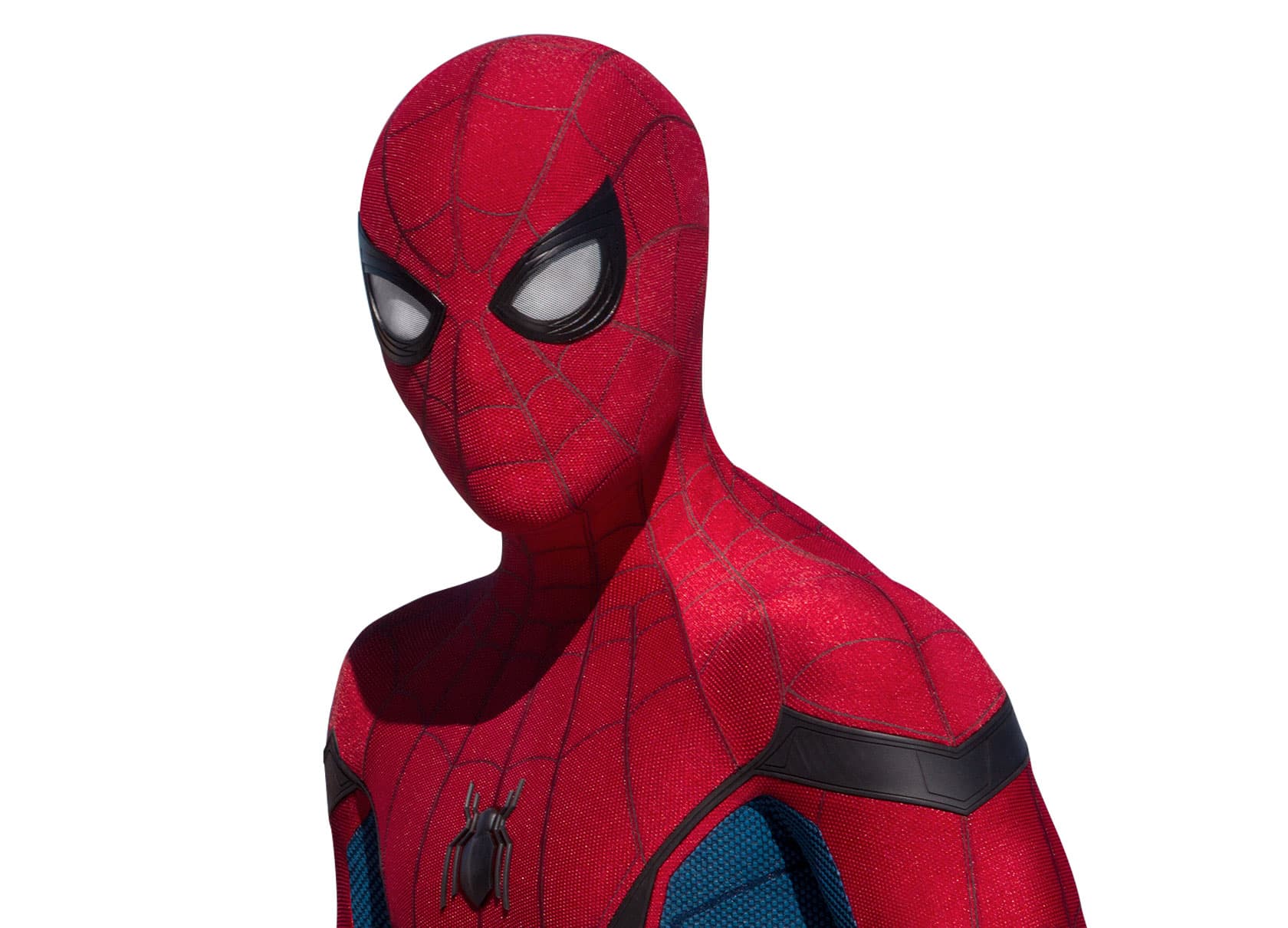 Photo of Test Account